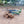 6a4aeb06584e8d2e51897e30_foto-4_1787917527415.jpeg
