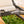 1/3 Kart - addon 5 - brake