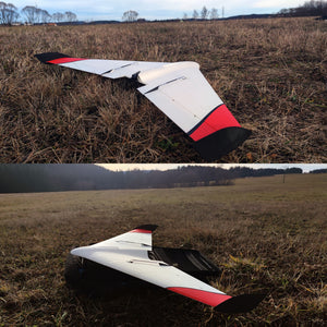 Duck Delta wing