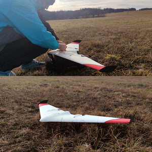 Duck Delta wing