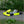 1/3 Kart - addon 2 - bodywork