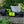 1/3 Kart - addon 2 - bodywork