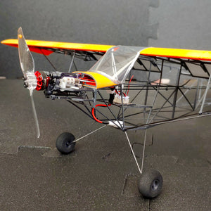 Lil Cub