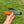 Wet Biscuit - community addon 1